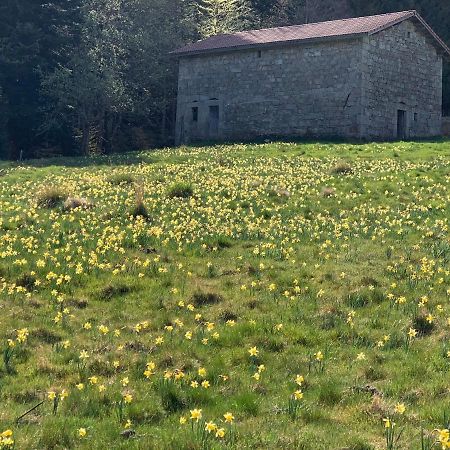 Gite " Oree Des Bois" Vertolaye Exteriér fotografie