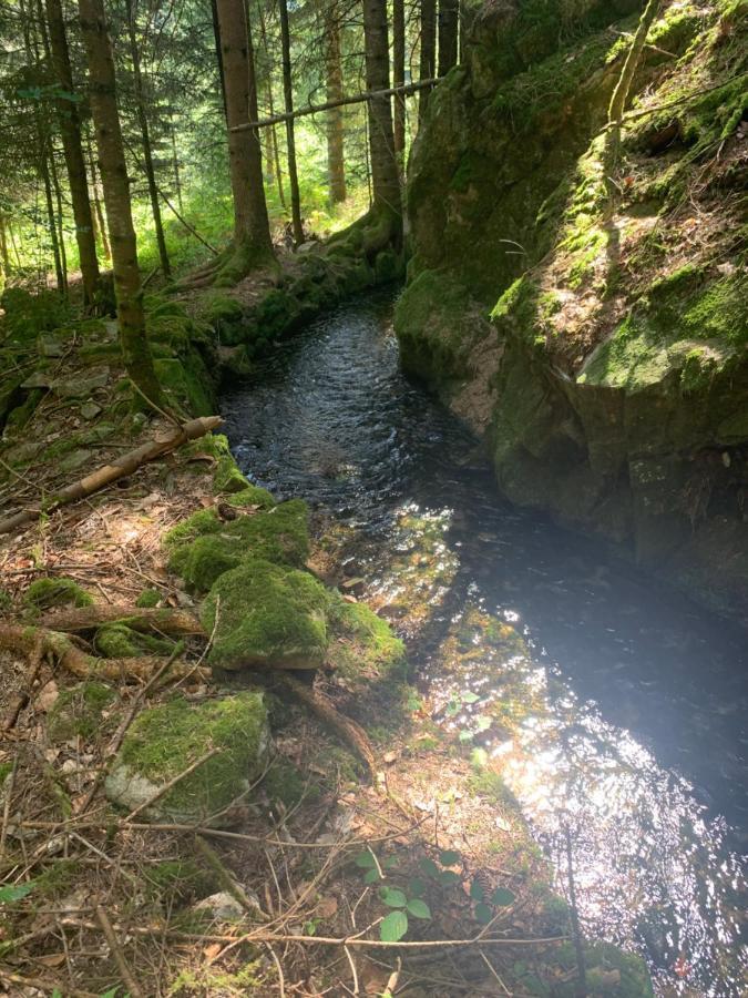Gite " Oree Des Bois" Vertolaye Exteriér fotografie