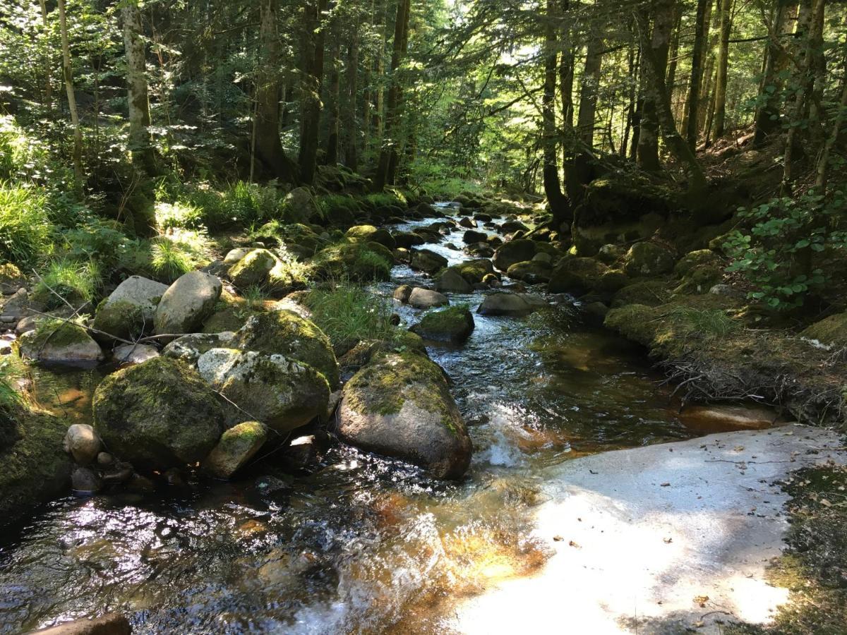 Gite " Oree Des Bois" Vertolaye Exteriér fotografie