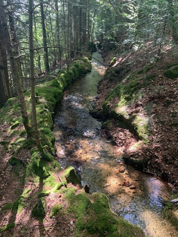 Gite " Oree Des Bois" Vertolaye Exteriér fotografie