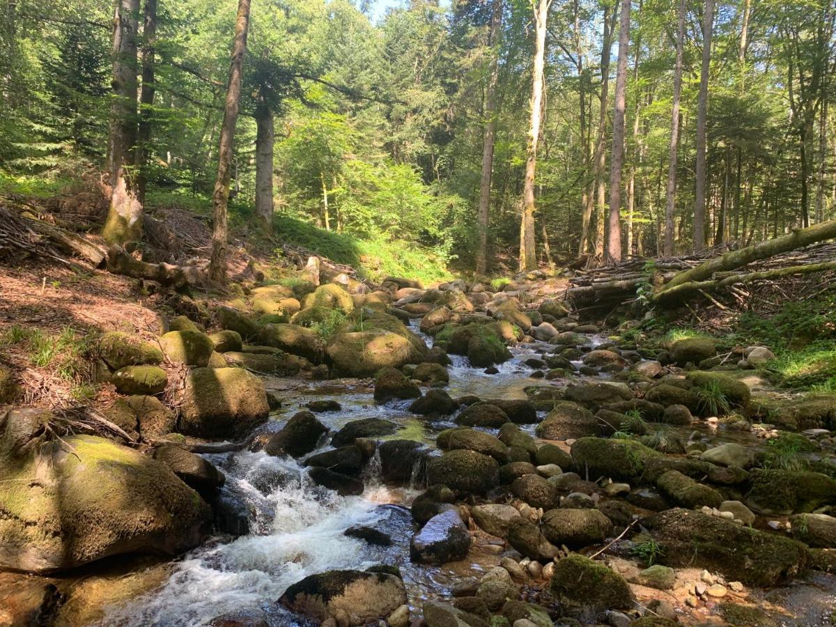 Gite " Oree Des Bois" Vertolaye Exteriér fotografie