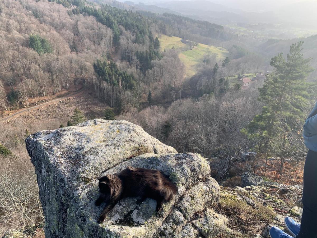 Gite " Oree Des Bois" Vertolaye Exteriér fotografie
