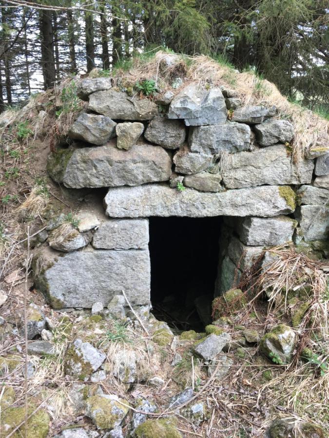 Gite " Oree Des Bois" Vertolaye Exteriér fotografie