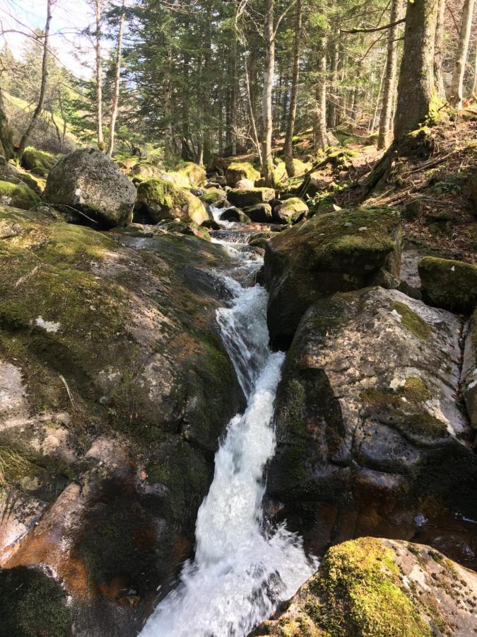 Gite " Oree Des Bois" Vertolaye Exteriér fotografie