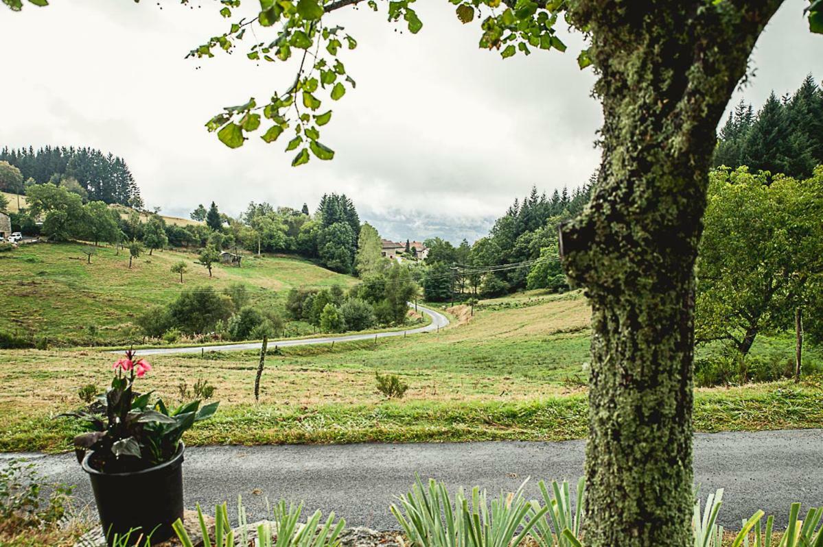 Gite " Oree Des Bois" Vertolaye Exteriér fotografie